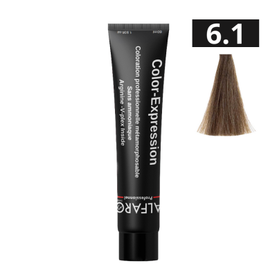 COLOR-EXPRESSION 6.1