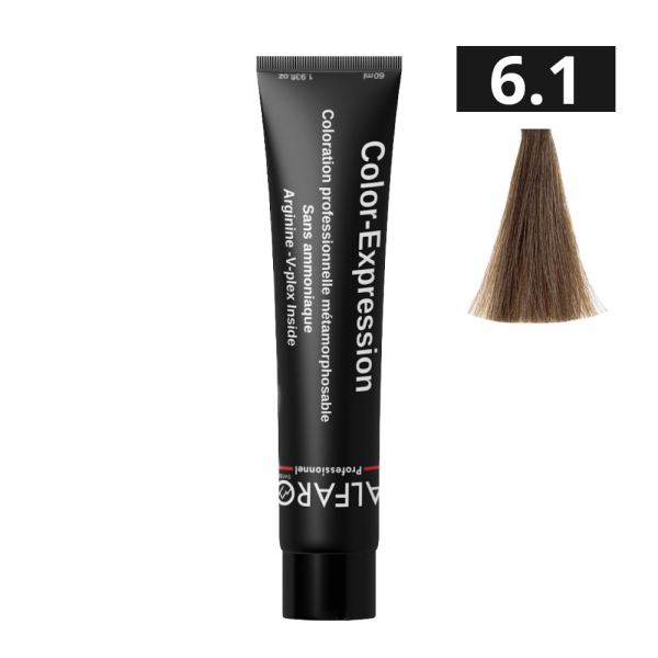 COLOR-EXPRESSION 6.1